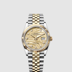 데이저스트 콤비 36 126233