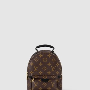 팜 스프링스 백팩 미니 M44873